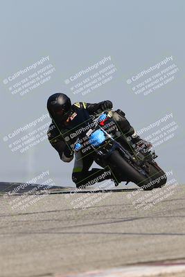 media/Mar-24-2025-2WTD (Mon) [[55b4b08488]]/A Group/11am (Outside Grapevine)/